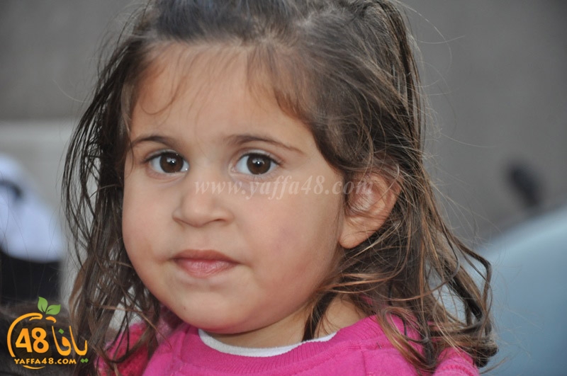 karnazvala ayffa (76).JPG